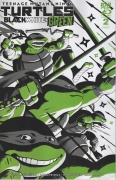 Teenage Mutant Ninja Turtles: Black, White & Green # 02