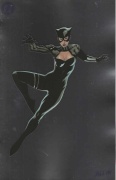 Catwoman # 69